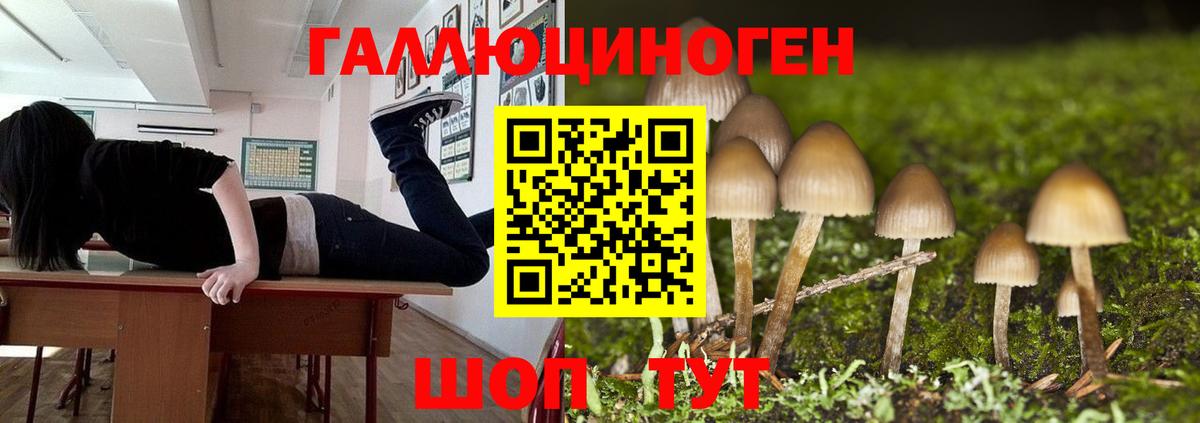 Галлюциногенные грибы MAGIC MUSHROOMS  Вход с VPN  Дзержинский 